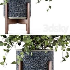 Indoor Plants in rusty Concrete Pot Set 244 Free Download