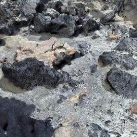 Lava 03 3D Model Free Download