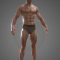 Male Anatomy 3d model Free Download