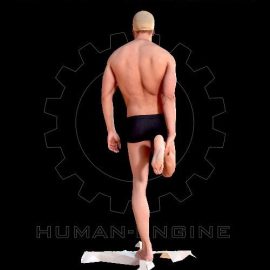 Male Scan – Mick 006 3D model Free Download