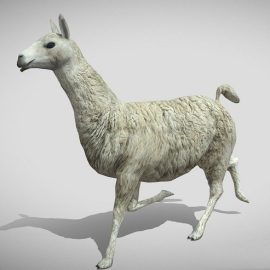 Medhue Llama Free Download