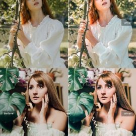 Mineral Pro Lightroom Presets Free Download