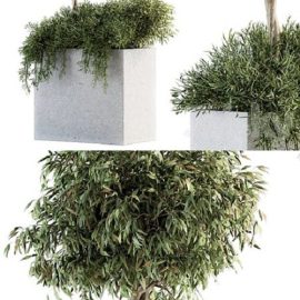 Outdoor Plant Set 172 – Plant Box tree Free Download