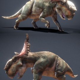 Pachyrhinosaurus lakustai 3D Model Free Download