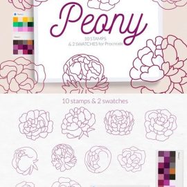 Peony Procreate Stamp Brushes Line Art UV8QFW4 Free Download