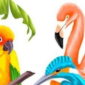 Procreate – Illustrate Tropical Birds