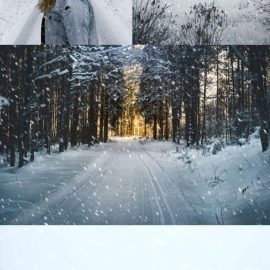 Realistic Snow Photoshop Overlays Free Download