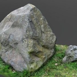 Rock boulder stone in forest Free Download