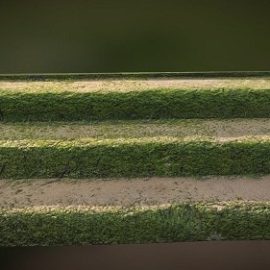 Stairs with moss and sand scan PBR Free Download