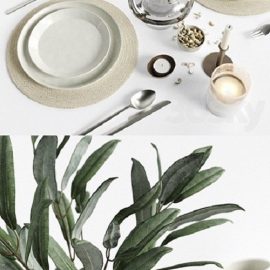 Tablewear 03 Free Download