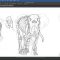 The Gnomon Workshop – Elephant Anatomy Vol. 1: Drawing Skeletons & Musculature Free Download