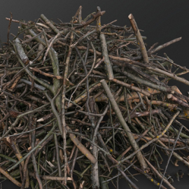 Tree branches pile Free Download