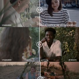 Triune Digital – Hipster Luts Free Download