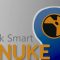 Udemy Work Smart With Nuke! Episode 1 Channels & Roto Free Download