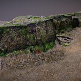 Woodland rocks with moss Free Download