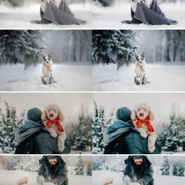 10 x Lightroom Presets Winter Pets Presets Free Download