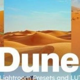 25 Dune Lightroom Presets and LUTs Free Download