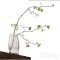 Branch in a vase Free Download