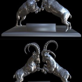 Capricorn battle 3D Model Free Download