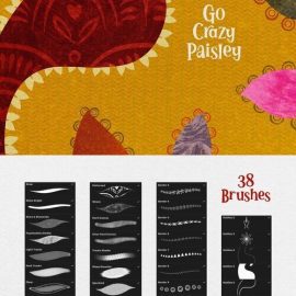 CreativeMarket – The Crazy Paisley Pattern Maker 10845665 Free Download