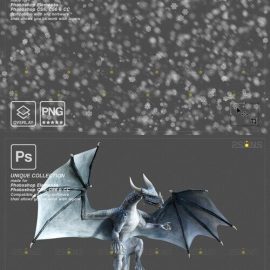 Creativemarket Digital Winter Backdrop Dragon Overlay 10956707 Free Download