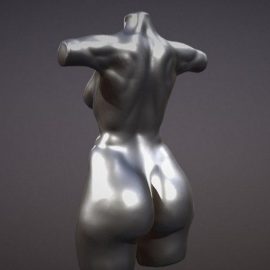 Female Body sculpt Free Download