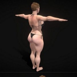 Fitness Muscular Woman ( Rigged ) 3D Model Free Download