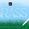 Grass Procreate Brushes Free Download