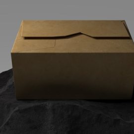 Gumroad – Perfect Cardboard-Paper Look: Realistic, Customizable Materials for 3D Scenes and Designs Free Download