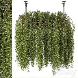 Indoor Hanging Plants in Metal Box – Set 192 Free Download