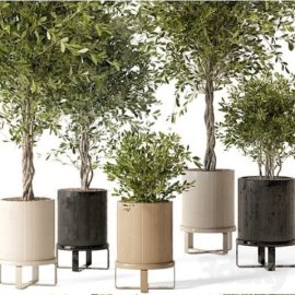 Indoor Plants in Ferm Living Bau Pot Large – Set 354 Free Download