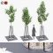 Landscaping kit with American linden 3.9 – 4.5m Free Download