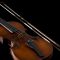 Old Maggini Violin 3D Model Free Download