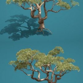 Old Tree 3D Model Free Download