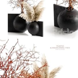 Pampas & branching tree Free Download