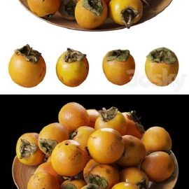 Persimmon kinglet on a platter Free Download