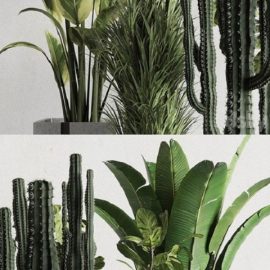 Plant Box Indoor Outdoor Plant 163 Free Download