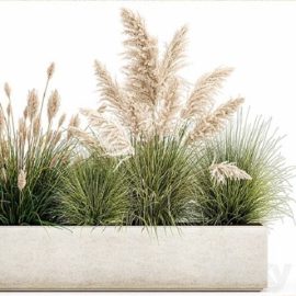 Plant collection 1077 Free Download