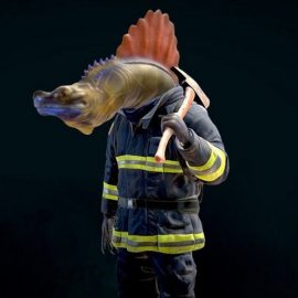 Sailfin Firefighter 3D Model Free Download