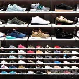 Sport shoes shop Free Download