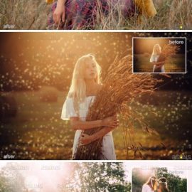 Sunlight Photo Overlays Sunlight Overlay Free Download