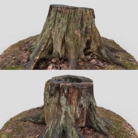 Tree stump 3D Model Free Download