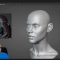 Udemy – Head Anatomy and Sculpting Exercises Course Free Download