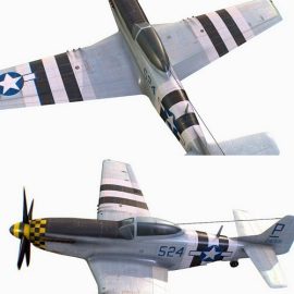 United States American fighter Mustang P-51D-5 3D Model Free Download