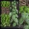 Vertical garden 2 Free Download