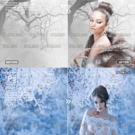 Winter Backdrops Tree Branches Free Download