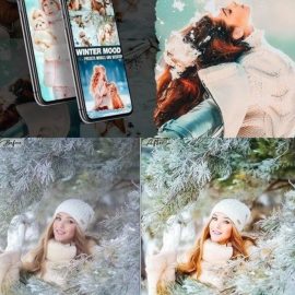 Winter Mood Lightroom Presets Free Download