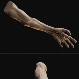 Zombie hand 3D Model Free Download