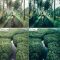 Bali Lightroom Presets Mobile And Desctop Free Download