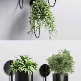 Collection Indoor plant 135 vase metal stand wall plant Free Download